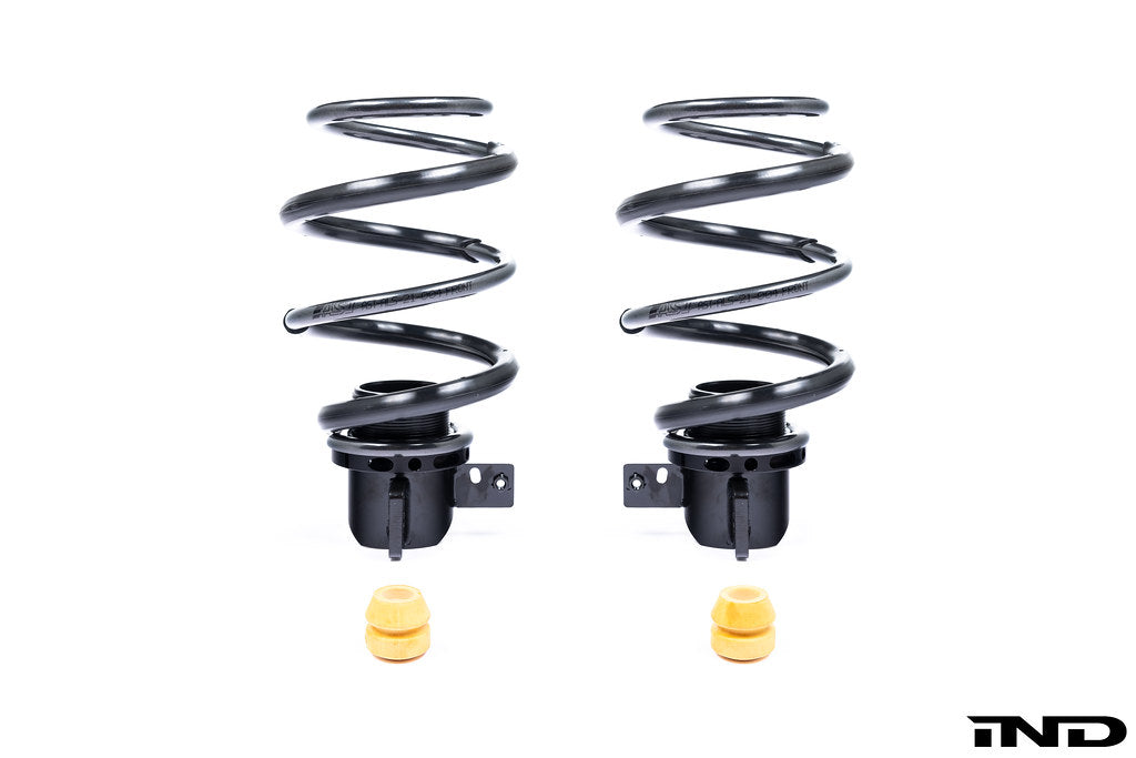 AST G8X M2 / M3 / M4 Adjustable Lowering Spring Kit