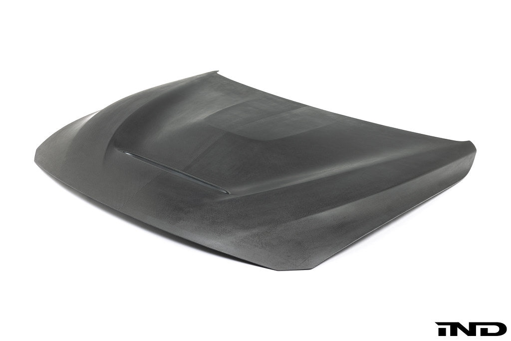 Alpha-N F82 M4 Carbon GTS Hood