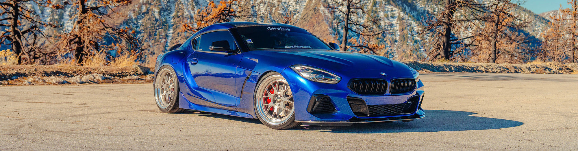 Goldenwrench Supply Co. GW29CS ZHÜPRA: The BMW Z4 Coupe BMW Never Built