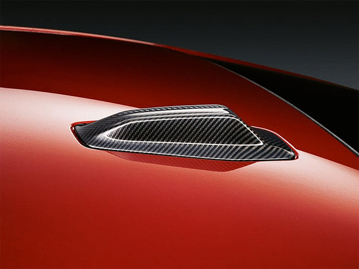AutoTecknic G60 / G70 / G90 Dry Carbon Roof Antenna
