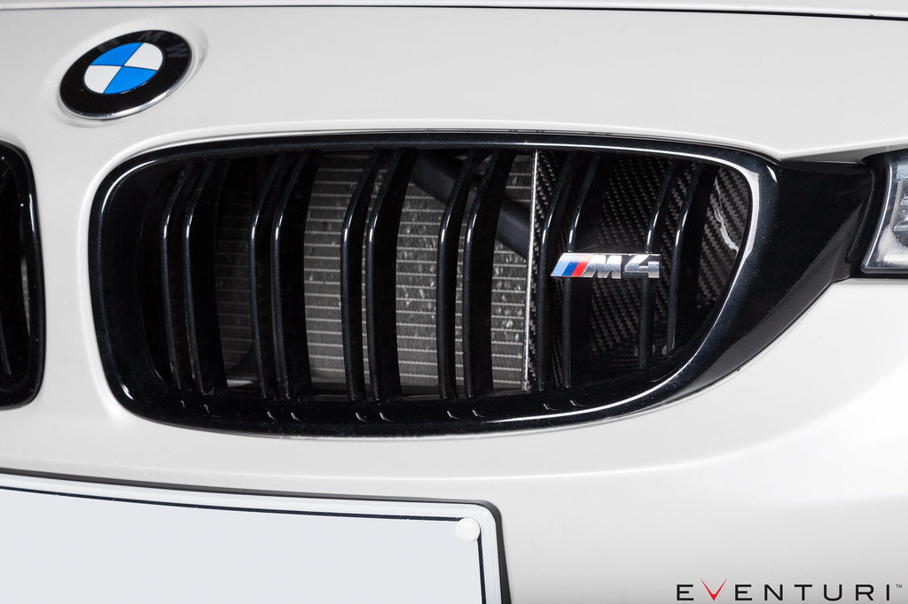 Eventuri BMW F8X M3 / M4 Black Carbon Air Scoop Set