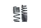 MMX Performance G8X M3 / M4 Lowering Spring Set