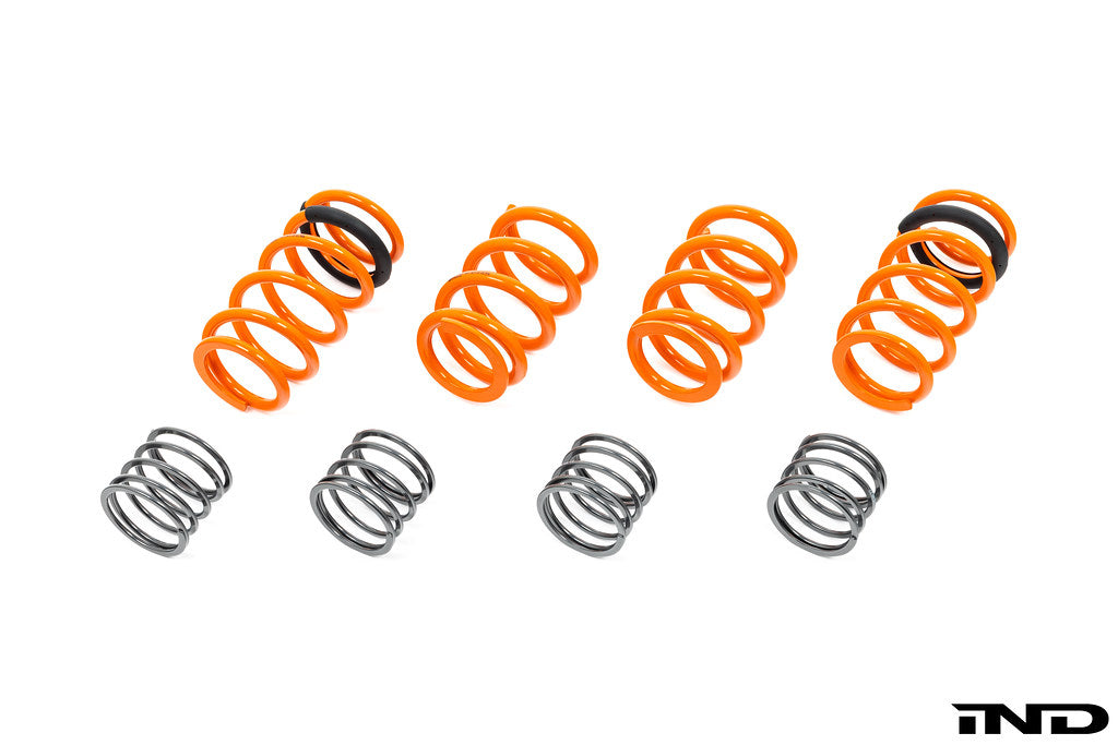 AST G90 / G99 M5 Adjustable Lowering Spring Kit