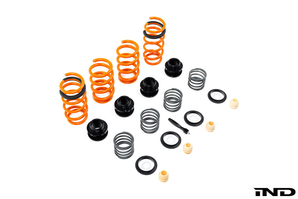 AST G90 / G99 M5 Adjustable Lowering Spring Kit