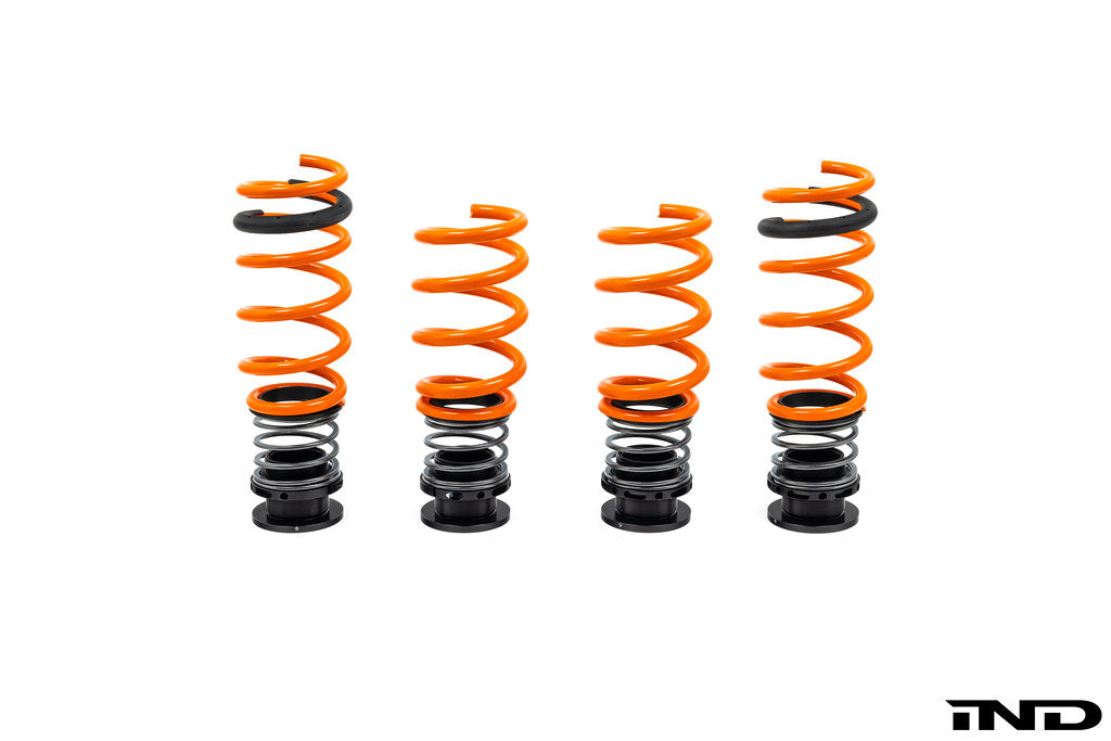 AST G90 / G99 M5 Adjustable Lowering Spring Kit