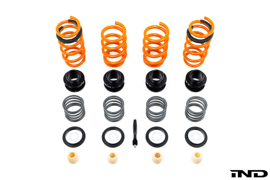 AST G90 / G99 M5 Adjustable Lowering Spring Kit
