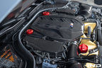 AutoTecknic G90 / G99 M5 Carbon Engine Cover