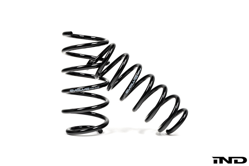 BMW I01 i3 and i3S Evolve lowering springs shown on white background