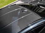AutoTecknic G82 M4 Carbon Fiber Roof Fin Set