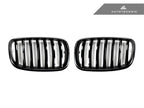 Autotecknic E70 / E71 Painted Front Grille Set
