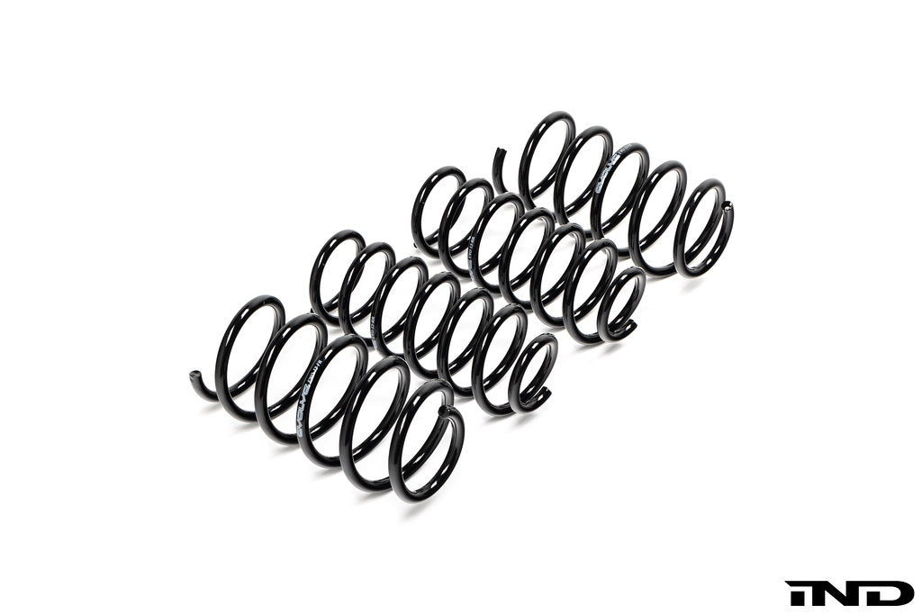 BMW I01 i3 and i3S Evolve lowering springs shown on white background