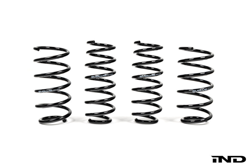 BMW I01 i3 and i3S Evolve lowering springs shown on white background
