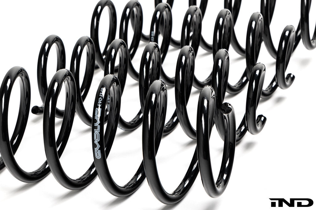 BMW I01 i3 and i3S Evolve lowering springs shown on white background