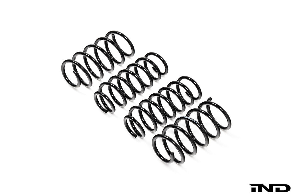 BMW I01 i3 and i3S Evolve lowering springs shown on white background