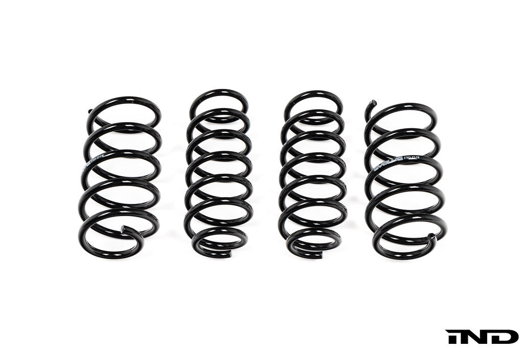 BMW I01 i3 and i3S Evolve lowering springs shown on white background