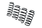 Evolve I01 i3 i3S Lowering Springs shown on a white background, engineered to lower the BMW i3, i3S, and Range Extender while maintaining ride comfort and everyday drivability.