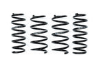 Evolve I01 i3 i3S Lowering Springs shown on a white background, engineered to lower the BMW i3, i3S, and Range Extender while maintaining ride comfort and everyday drivability.