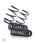 MMX Performance  MINI F-Chassis Lowering Spring Set