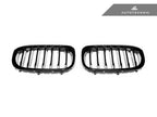 Autotecknic G01 X3 / G02 X4 Pre-LCI Front Grille Set