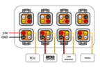 CANchecked CAN Bus Distribution interior wiring for vehicle's CAN bus system, showing detailed electrical connections.