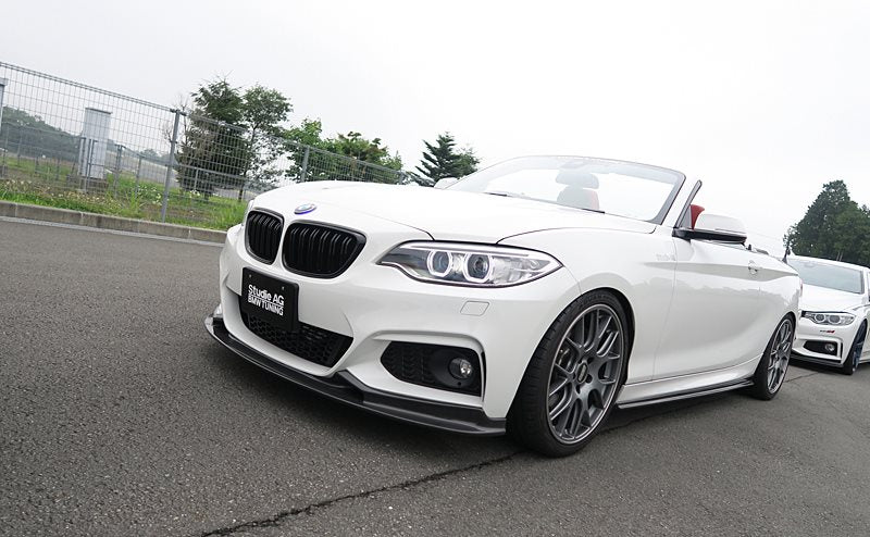 3d design f22 m sport carbon fiber front lip spoiler - iND Distribution