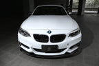 3d design f22 m sport carbon fiber front lip spoiler - iND Distribution