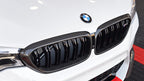 BMW f90 m5 m Performance carbon front grille set - iND Distribution